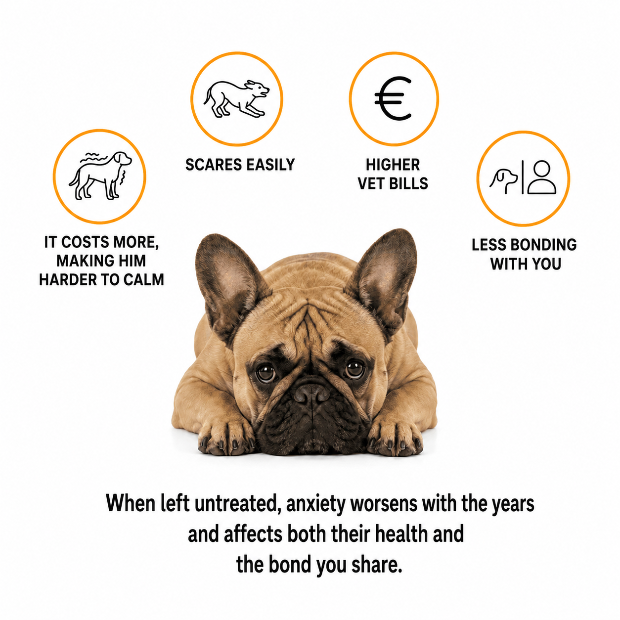 Anti-Stress Massager for Dogs